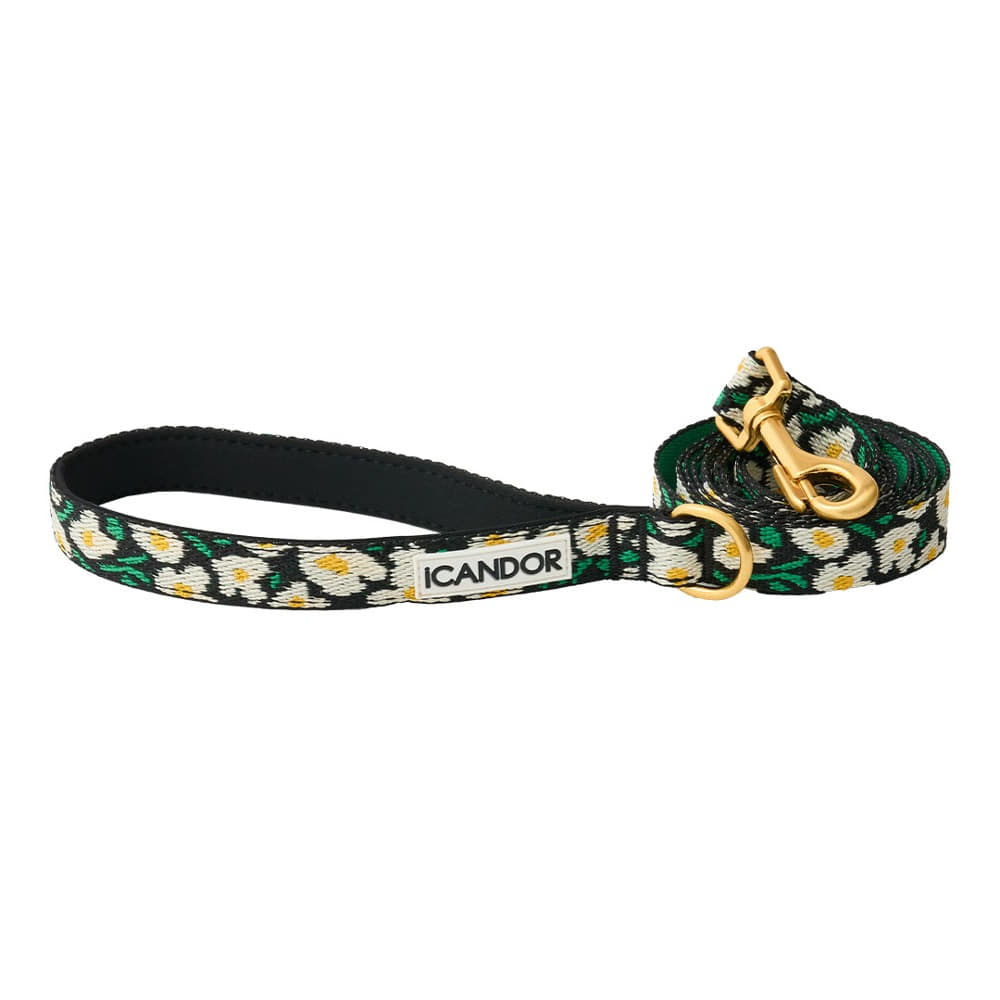 아이캔더 젠틀리쉬 빅피쉬 블랙 1.6m 리드줄