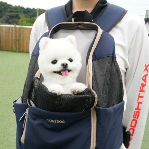 패리스독 네오 소프트 앞가방