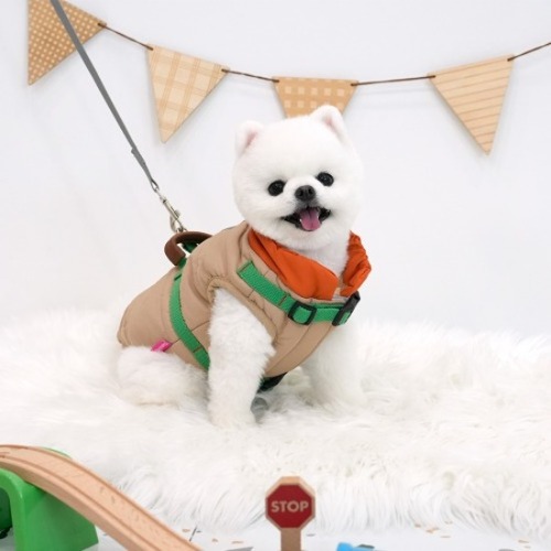 패리스독 노마드 하네스 패딩