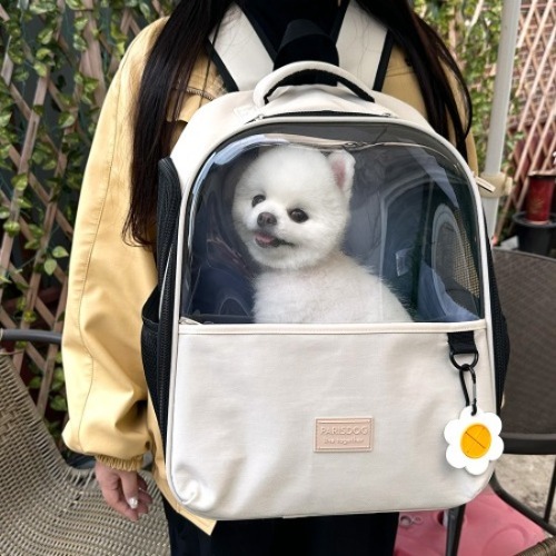 패리스독 데이지 펫백