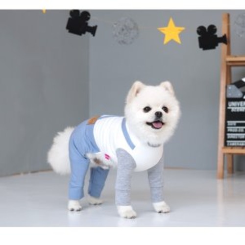 패리스독 데일리 올인원