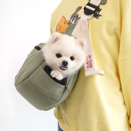 패리스독 디어마이 슬링백