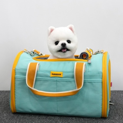 패리스독 라이트 돔캐리어