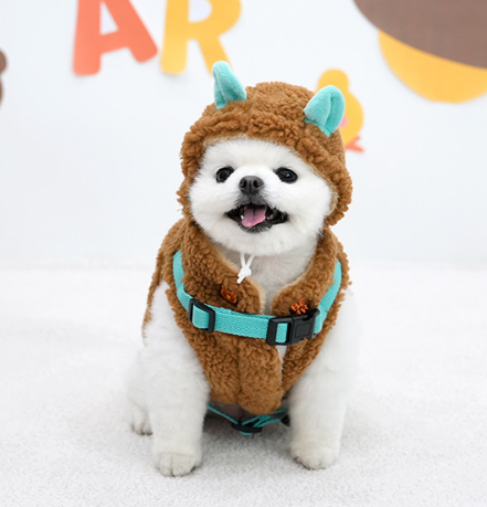 패리스독 리틀베어 하네스 패딩 세트