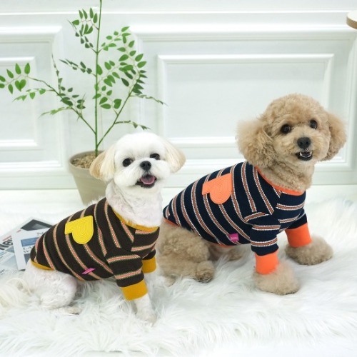 패리스독 메이즈 스트라이프 티셔츠