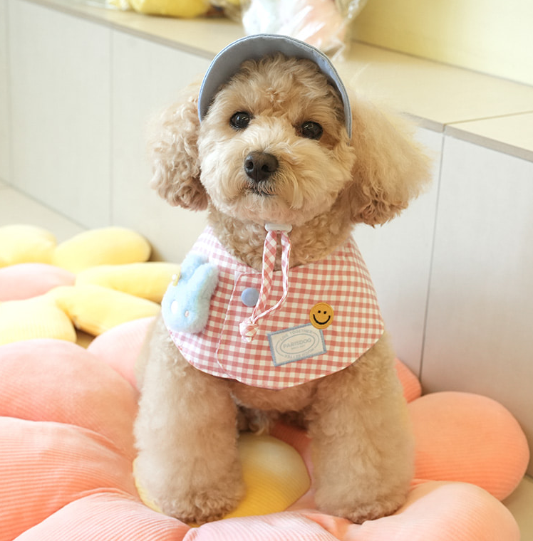 패리스독 버디 케이프 모자 세트