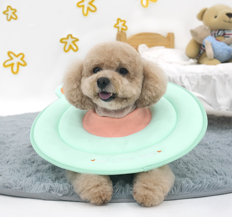 패리스독 베어스폰지 넥카라
