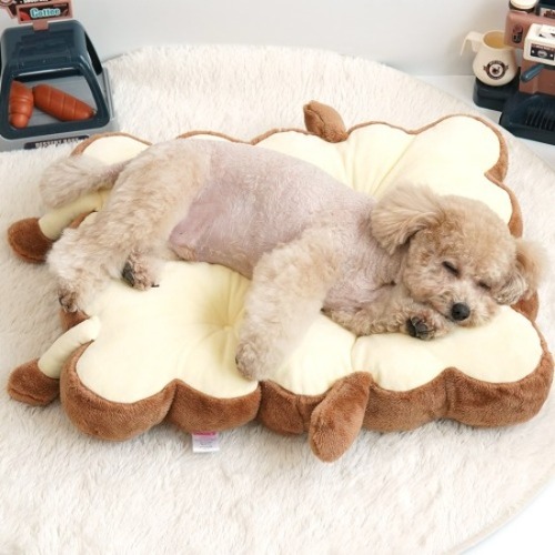 패리스독 베이커리 쿠션