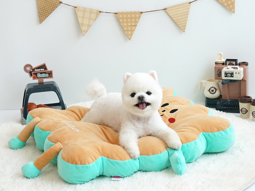 썸네일 2