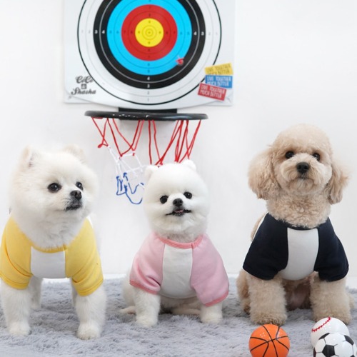 패리스독 솔리드 포켓 티셔츠