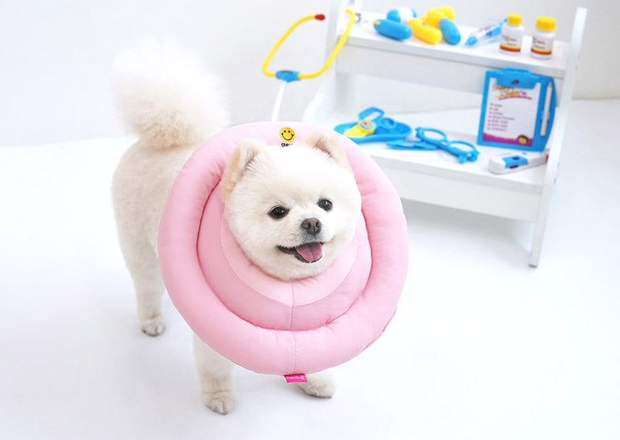 패리스독 스마일 넥카라