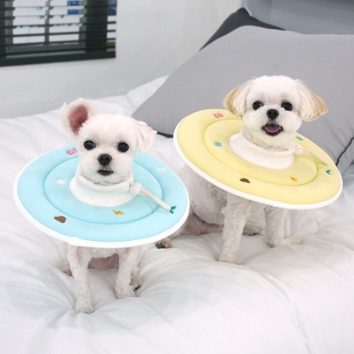 패리스독 에스프아 스폰지 넥카라