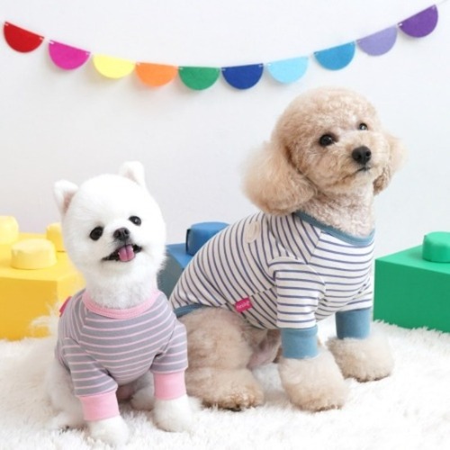 패리스독 엠보 로고 스트라이프 티셔츠