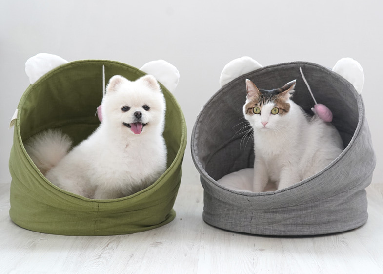 패리스독 위드 베어 크레들
