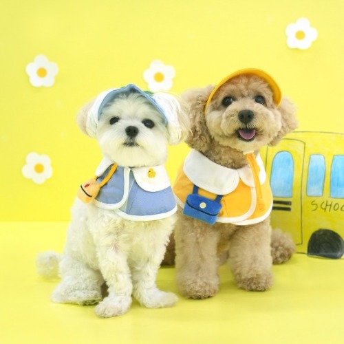 패리스독 유치원케이프&모자세트