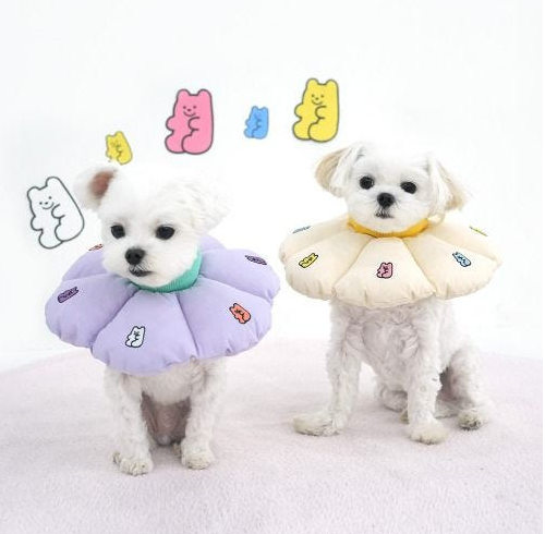 패리스독 젤리베어 넥카라