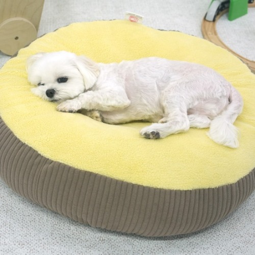 패리스독 코듀로이 해먹 베드