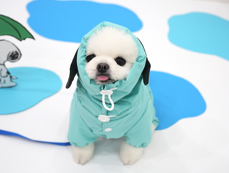 패리스독 피너츠 레인 웨어