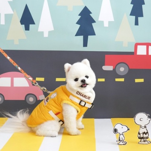 패리스독 피너츠 모던 하네스 패딩