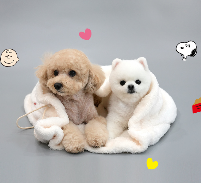 패리스독 피너츠 아이콘 멀티 워머